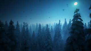 Fall Asleep In A Cozy Snow Storm Forest | Winter Ambience, Calming Snowfall, Winter Wind Sounds