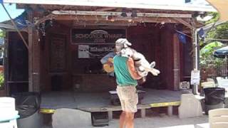 Dancing with a dog at Schooner Wharf Bar - Take Two