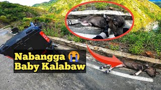 Disgrasya | Solo NorthLoop Ride V2 Part 2 | Honda Airblade 150 |