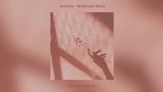 Invisible ~ Wallflower Blush from My Little Pony Equestria Girls ( Slowed + Reverb )