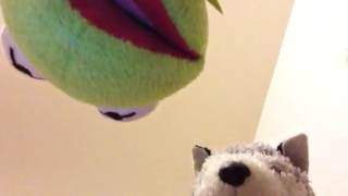 Wolfie And Kermit Adventures (part 19)