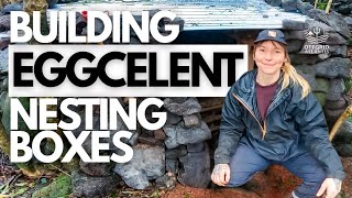 Will the Chickens Approve? - DIY Chicken Coop | Off-Grid Island Homestead