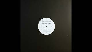 Matthias Vogt - Shimmering Sea (Dj jauche Rework) FR 018