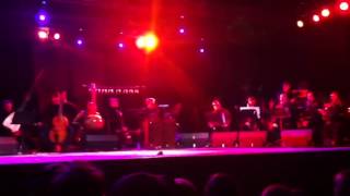 Damon Albarn at Onefest 2012