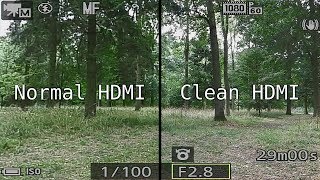 Nikon P1000 HDMI live output modes compared