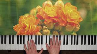 Evanescence - My Immortal | Piano Cover by IVANOV DMITRIY
