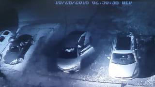 Thief