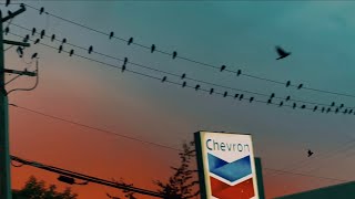 The sunrise and sunset in Vancouver｜20230806｜00000711