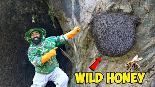 കാട്ടു തേൻ എടുക്കാൻ പോയി കുത്ത് കൊണ്ട കഥ | Honey From Forest | M4 Tech |