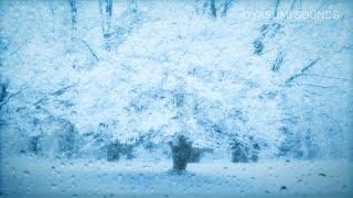 Relaxing Snowfall Sounds in a Winter Mountain - 8 Hours