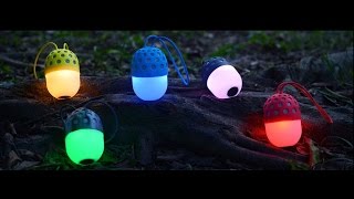 Conceptronic Wireless Bluetooth Waterproof LED Light Speaker