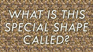 Stereogram Challenge #20 - What Special Shape is This?