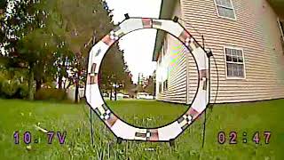 Borgling Tree Warping