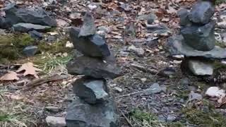 In Nature....Say A Prayer … D'Original Reverence