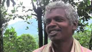 Visthar Study Abroad Music Video