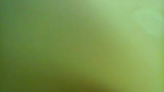 Ylina Ninja SAMY MAYACE LIVE Razmoid Song Version