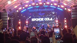 Spongecola at Vermosa Fest! 