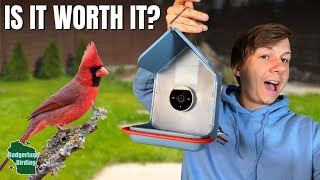 Exclusive FIRST LOOK at the Birdbuddy 2 Smart Bird Feeder!