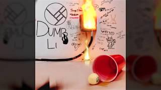 Herobust - Dumb Lit (Live at HARD Summer 2019)