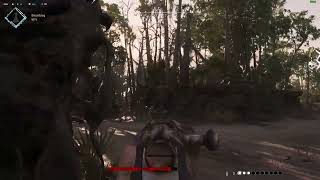 Hunt  Showdown