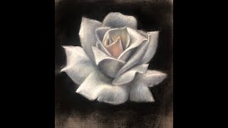 Demonstration of drawing a rose in pastel, Part4 (final)