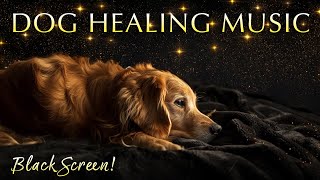528Hz Healing Music for Dogs – 12 Hours of Black Screen Sound Therapy
