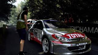 DiRT Rally 2 | RALLY Deutschland| PEUGEOT 206 WRC | MAXIMUM ATTACK