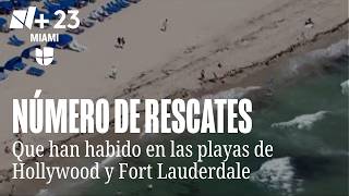 More than 80 rescue missions on the beaches of Hollywood and Fort Lauderdale