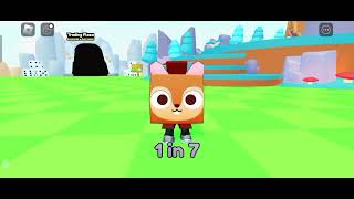 Pets Go: The Newest Pet Simulator Game! Ultimate RNG Adventure in Roblox
