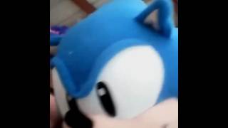 Sonic tails and knuckles play in the snow