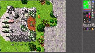 [TibiaRoyal] Iron Ore Quest