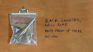 Black Country, New Road - Ants From Up There Uninterrupted (Album Lyric Video)