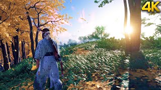 The Beauty of Ghost of Tsushima + OST ♪ | Gameplay | First Half of the Game