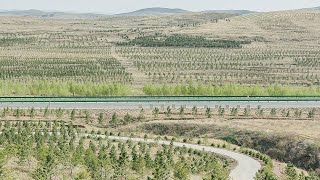 How China Transformed Its Deserts (Explained Simply)