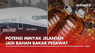 Minyak Jelantah Berpotensi Jadi Bahan Bakar Pesawat
