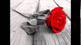 My Love Is Like A Red Red Rose cover Thetwodubs
