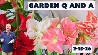 Deer Fishing Line, Wood Chips for the Win, Moving Plants, Hard Pruning - Garden Question and Answer