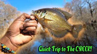 A Quick Trip to The CREEK!!!