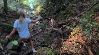 Catch the Vision - Todd Proctor (Song by Ross La Vel)
