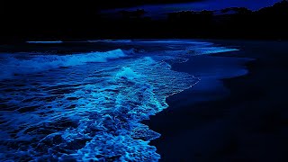 Sleeping Peacefully By The Ocean At Night | Rolling Waves For Deep Sleep 🌙  Dark Screen 24H