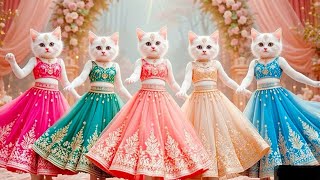 बिल्ली डांस 😹 | Cutest Dancing Cats Compilation💃 Funny Cat Dance Videos ( Cute Kittens) Mahicat