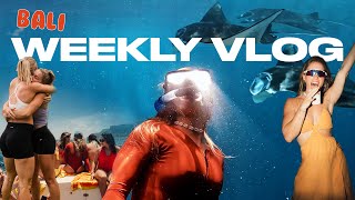 Weekly Vlog #36 | One of the best week's of my life! 🇮🇩❤️