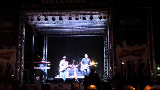 SRV  Tribute Harley Hamm