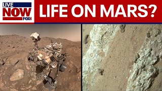 NASA Mars Rover finds potential signs of ancient life