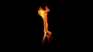 Torah by Torchlight | Parshah Bereshit (Genesis 1-6:8) Hebrew/Eng ASMR | Jewish Tanakh No Commentary
