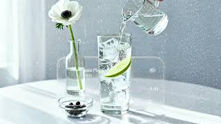 [playlist] "Tonic Water" | lofi | lofi music | lofi jazz