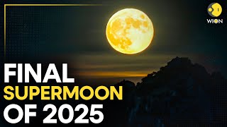 Final Supermoon Of 2025 LIVE: Last Supermoon of the Year Stuns Skywatchers | WION Live