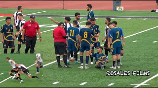 Heated Moments and Fouls in Soccer