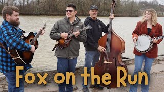 Fox on the Run - Backwoods Bluegrass