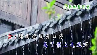 雨中康乃馨 - 小翠絲女聲伴唱✮文華(練習), Sing along字幕
